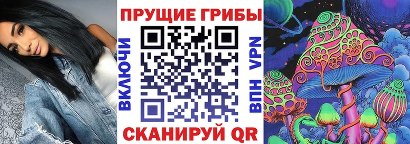 Купить закладки  Пугачёв  Галлюциногенные грибы мухоморы 