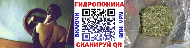 Купить  Пугачёв  Канабис MAZAR 