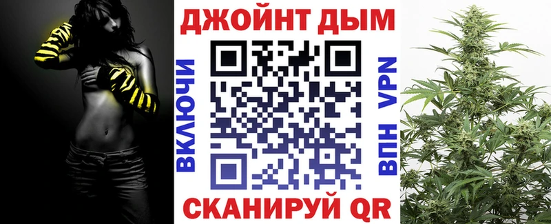 Канабис сатива Пугачёв